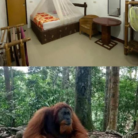 Brown Bamboo Guest House & Trekking Bukit Lawang Exterior foto